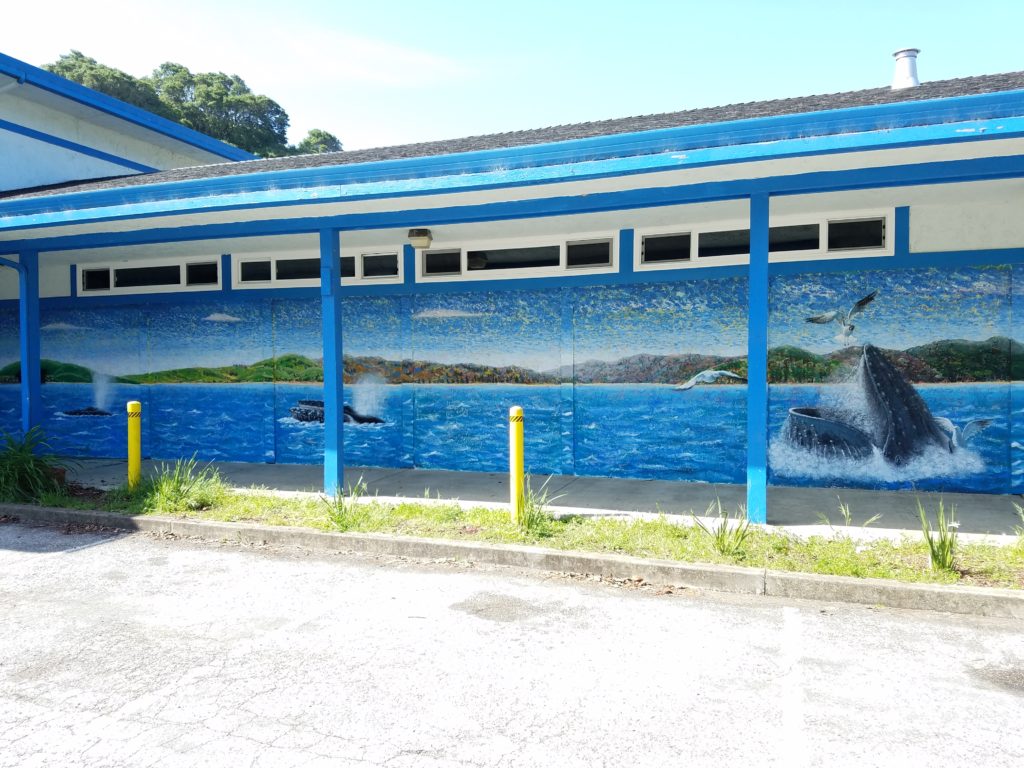 Humpback Whale Sighting mural 